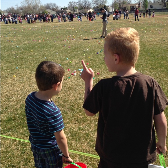 Meet your Posher, Leia - Picture 2 of 2