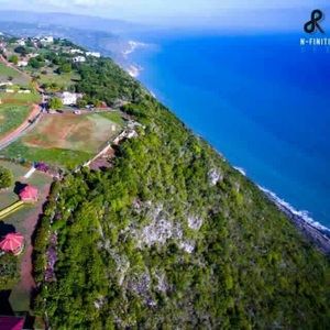 Meet your Posher, Tasha