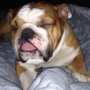 Meet your Posher, Galya