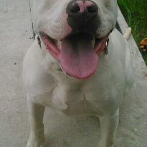 Meet your Posher, Jair