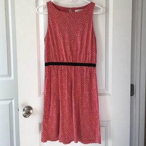 Loft- Sleeveless Dress
