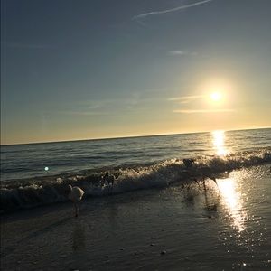 Meet your Posher, Paige