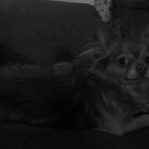 Meet your Posher, Kerie