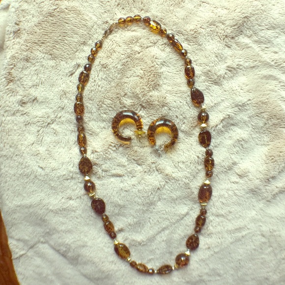 Tortoise necklace and earring set
