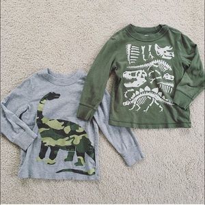 Long Sleeve Dinosaur Toddler Shirt Bundle