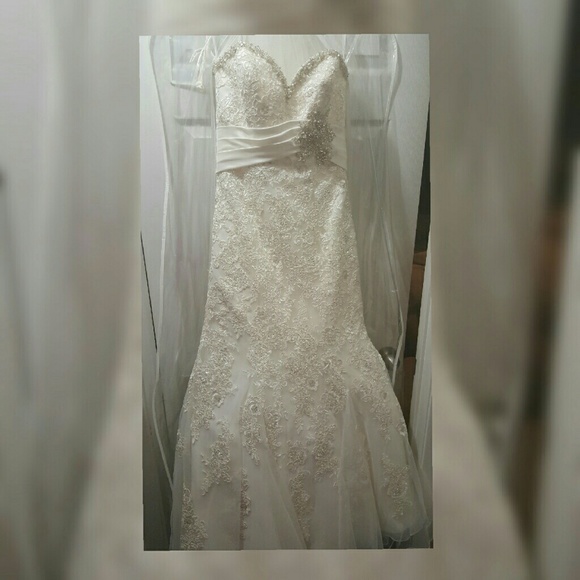 Ivory Wedding Dress with Vail