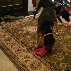 Meet your Posher, Brandy