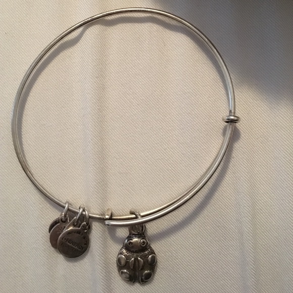 Lady bug Alex & Ani bracelet