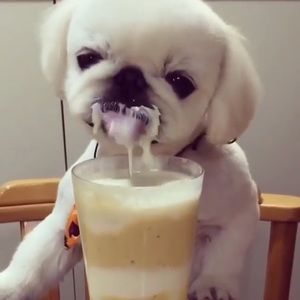 Meet your Posher, Kaylie