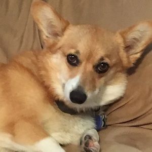 Meet your Posher, Lexie