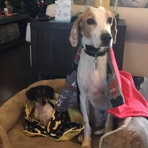 Meet your Posher, Tara