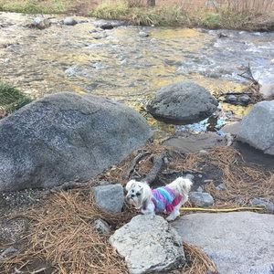 Meet your Posher, Amberly