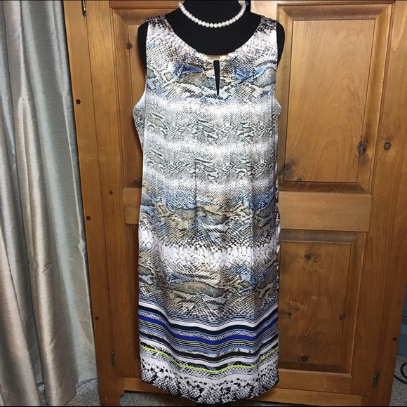 Gorgeous Dana Buchman Dress 👗