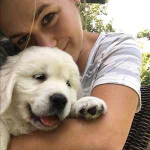 Meet your Posher, Ally