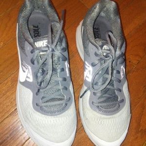 Nike pegasus 30