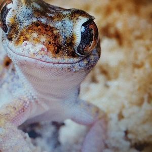 Meet your Posher, Fabian