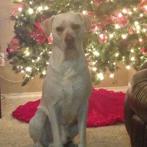 Meet your Posher, Tori