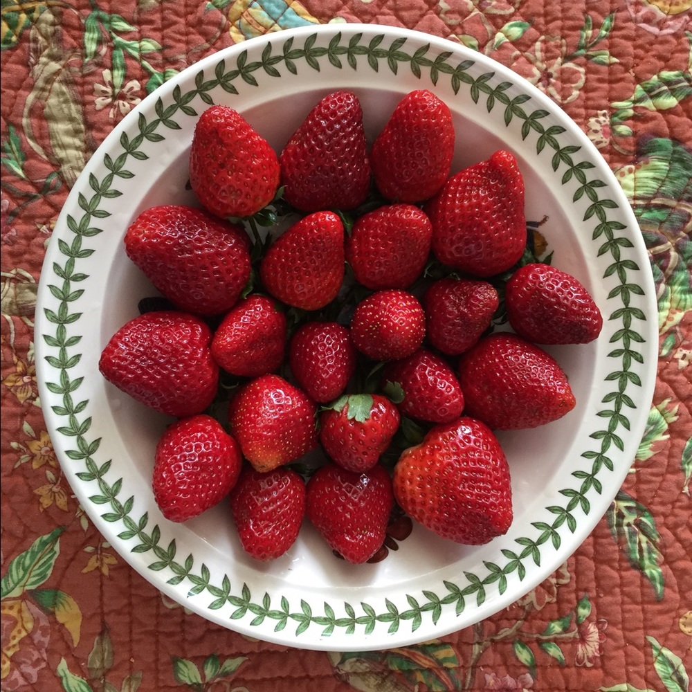 Meet your Posher, Jean