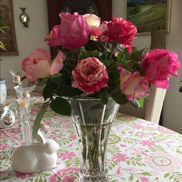 Meet your Posher, Jean - Picture 4 of 4