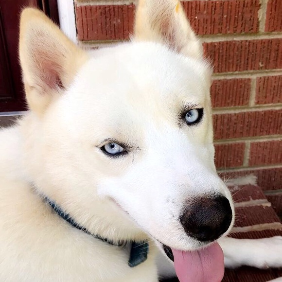 Meet your Posher, Allyson - Picture 2 of 3