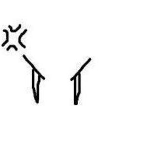 Meet your Posher, Jane