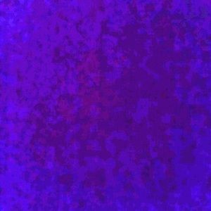 Meet your Posher, Kleigh