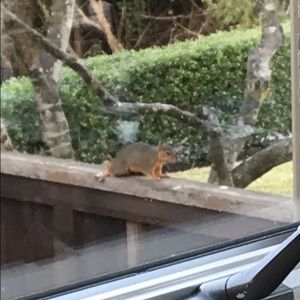 Meet your Posher, Tyler