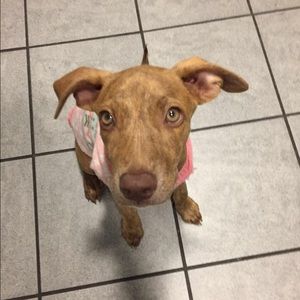 Meet your Posher, Lori