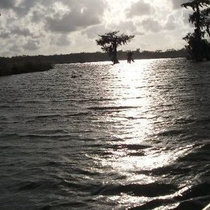 Meet your Posher, Quentin