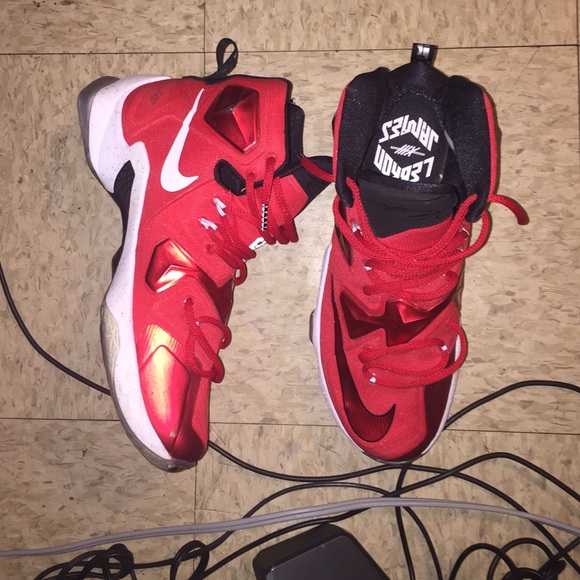 Labrons - Picture 2 of 4