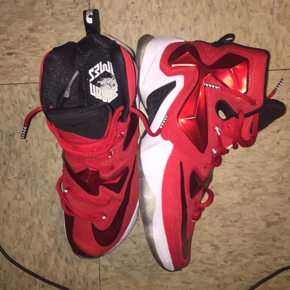 Labrons - Picture 3 of 4