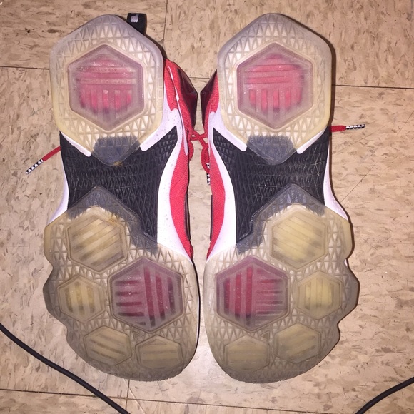 Labrons - Picture 4 of 4