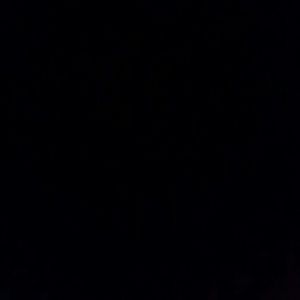 Meet your Posher, Ricky