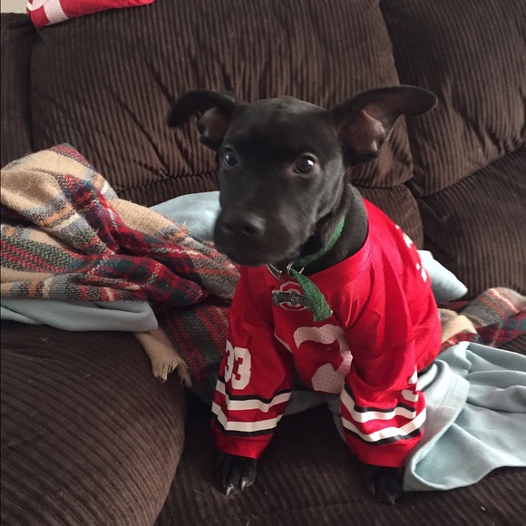 Meet your Posher, Patricia - Picture 1 of 1