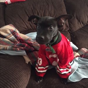 Meet your Posher, Patricia