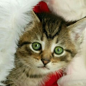 Meet your Posher, Gia