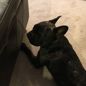 Meet your Posher, Debra