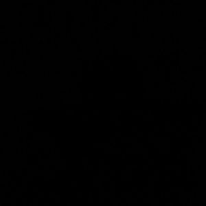 Meet your Posher, Annabelle