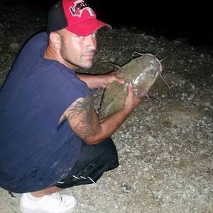 Meet your Posher, Casey