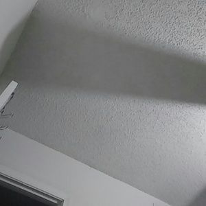 Meet your Posher, Dee