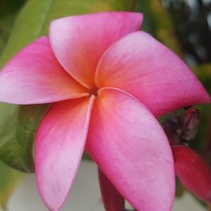 Meet your Posher, esther