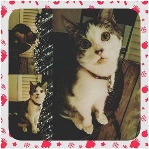 Meet your Posher, Alexzandria