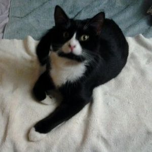 Meet your Posher, Calvin