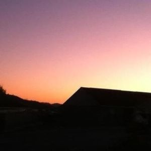 Meet your Posher, Pam garrett