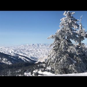 Meet your Posher, Camilla