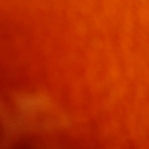 Meet your Posher, Sherry