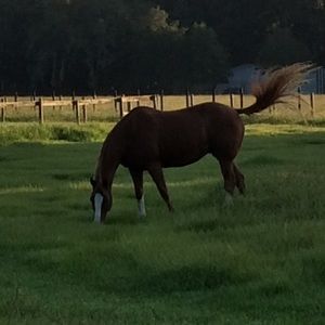 Meet your Posher, Rebecca