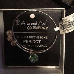 Alex and Ani Birthstone Bracelet
