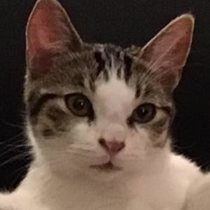 Meet your Posher, Melanie