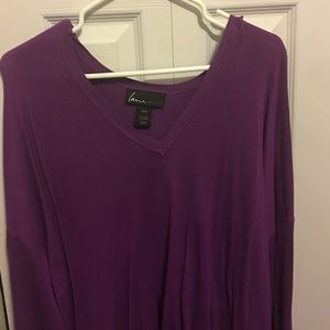 Purple light weight, long sleeve, v neck sweater